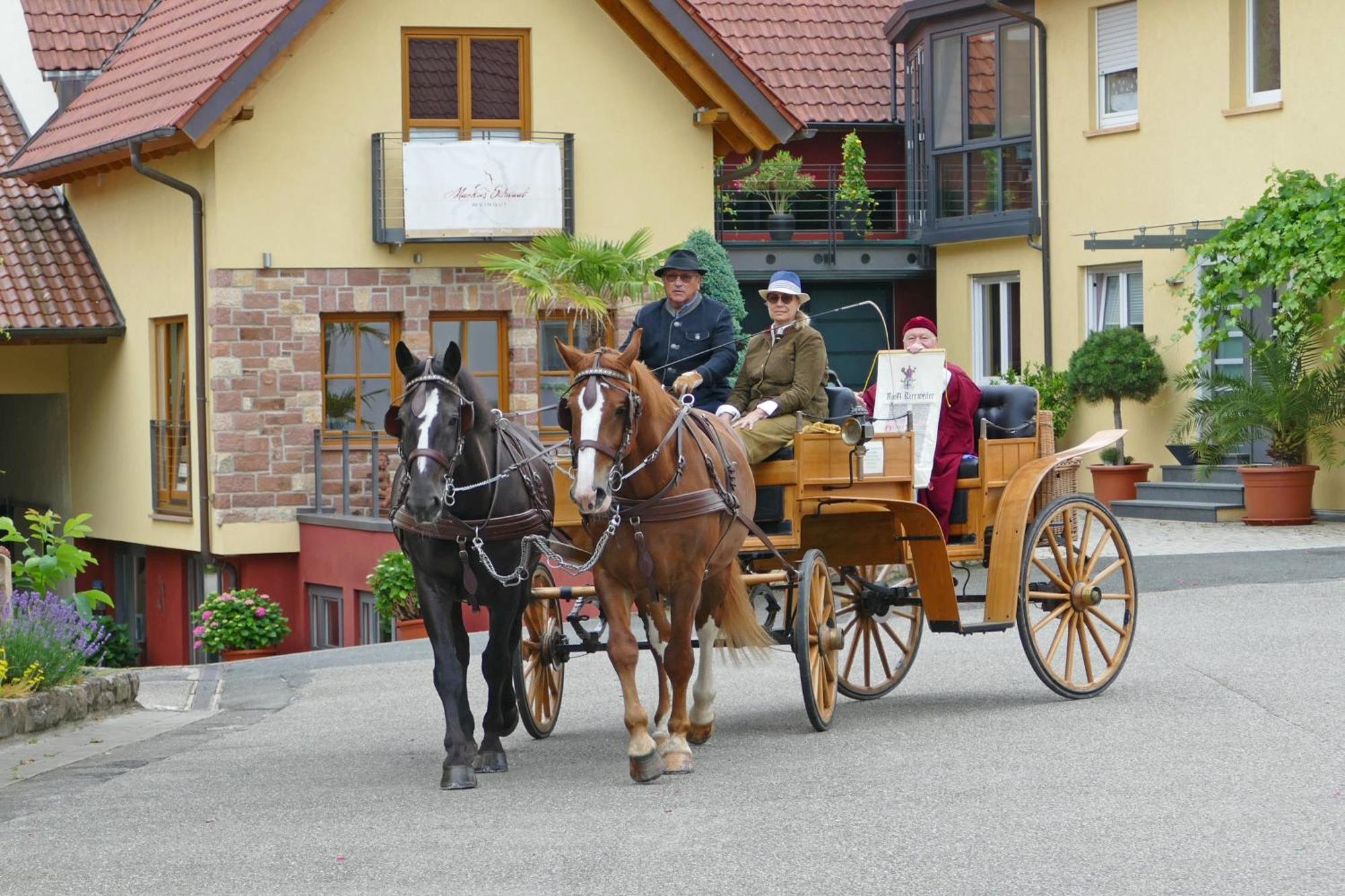 Hotel Garni Sebastian Kirrweiler  エクステリア 写真